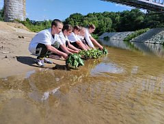 Волонтеры Лысых Гор приняли участие в акции «Венок памяти»