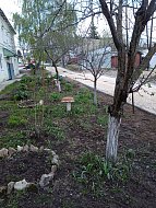 Глава Лысогорского района поделилась планами по благоустройству поселка