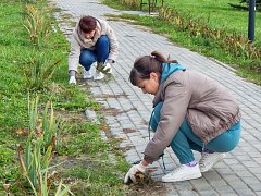  В парке Лысых Гор состоялся субботник