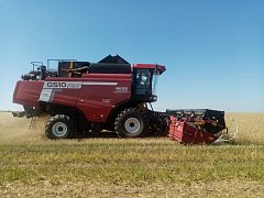 В Лысогорском районе продолжается  уборочная кампания