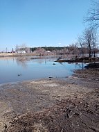 Лысогорцы вышли на прогулку, чтобы «не проспать» весну