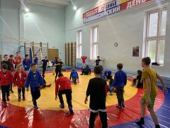 В  р.п. Лысые Горы  прошла открытая тренировка по самбо