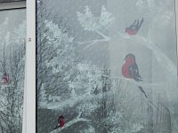 #НовогодниеОкна