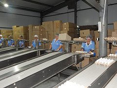 В рамках рабочего визита Лысогорский район посетил губернатор Саратовской области Р.В. Бусаргин