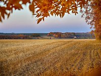 В Лысогорском районе близится к завершению  уборка поздних яровых