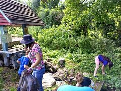 Благоустройство помогает улучшить качество воды в родниках