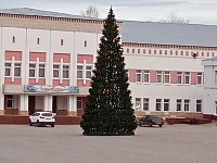 На центральной площади Лысых Гор установили елку