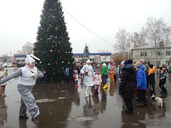 Состоялось открытие районной елки 