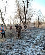 Сотрудники МУП «СанСервис» выпиливают сухие деревья близ парка в Лысых Горах 