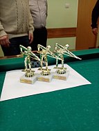 Любители бильярда из Лысых Гор определили победителя