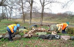 В парке Лысых Гор подготовили розы к зиме 