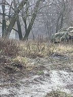 За каждым "Лешим" и "невидимкой" – доброе сердце волонтёра