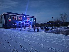 ОГУ «Лысогорская райСББЖ» сверкает огоньками гирлянд