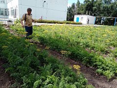 Продолжаются дорожные работы в МО Лысогорского района