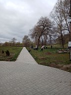 Лысогорский район принял участие во Всероссийском субботнике