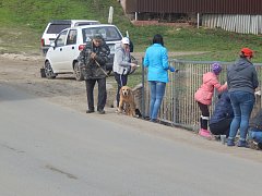 Все на субботник!