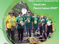 Экослет состоится в середине августа