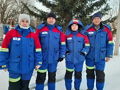 Сотрудники Лысогорского РЭС отмечают профессиональный праздник
