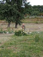 В Лысых Горах работы по благоустройству общественных территорий продолжаются