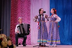 В Лысых Горах прошёл праздничный концерт, посвященный Дню Конституции РФ