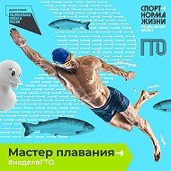 Бег, отжимания, гири? А может плавание?