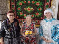 В Лысогорскому районе проходит акция "С Новым годом, ветеран"