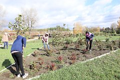 В Лысогорском районе продолжаются  субботники в рамках месячника по благоустройству, объявленного губернатором области Романом Бусаргиным.